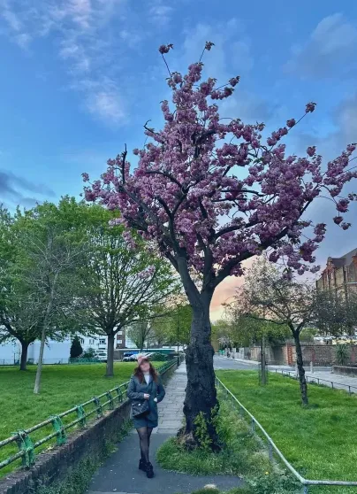 Anisa, 31 anni